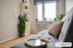Room 6